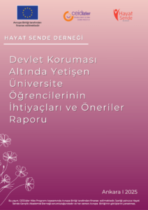 Üniversite Öğrencilerinin İhtiyaçları Raporu_compressed