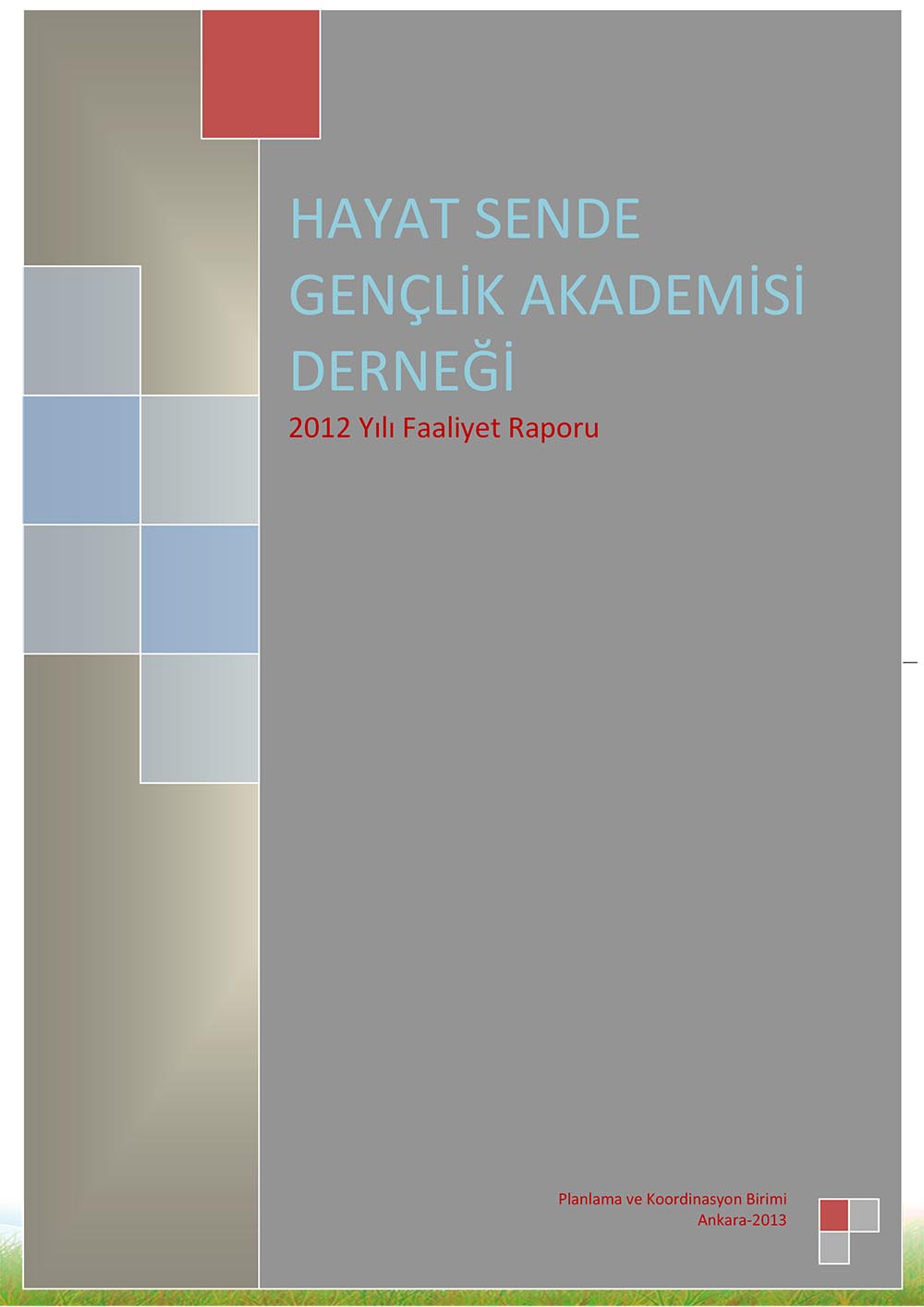 2012 Faaliyet Raporu
