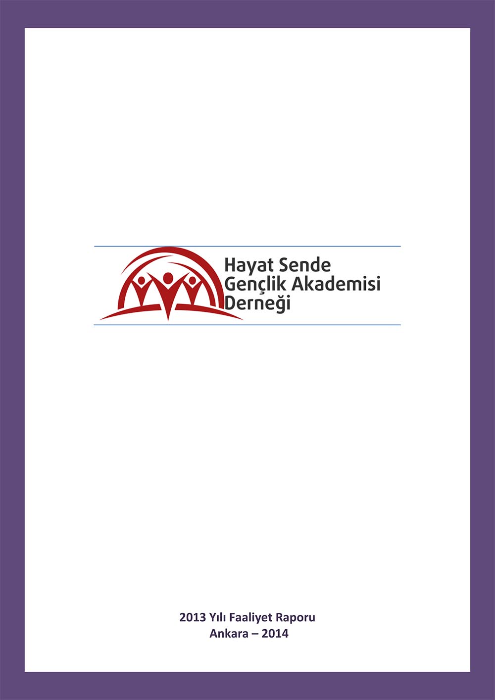 2013 Faaliyet Raporu