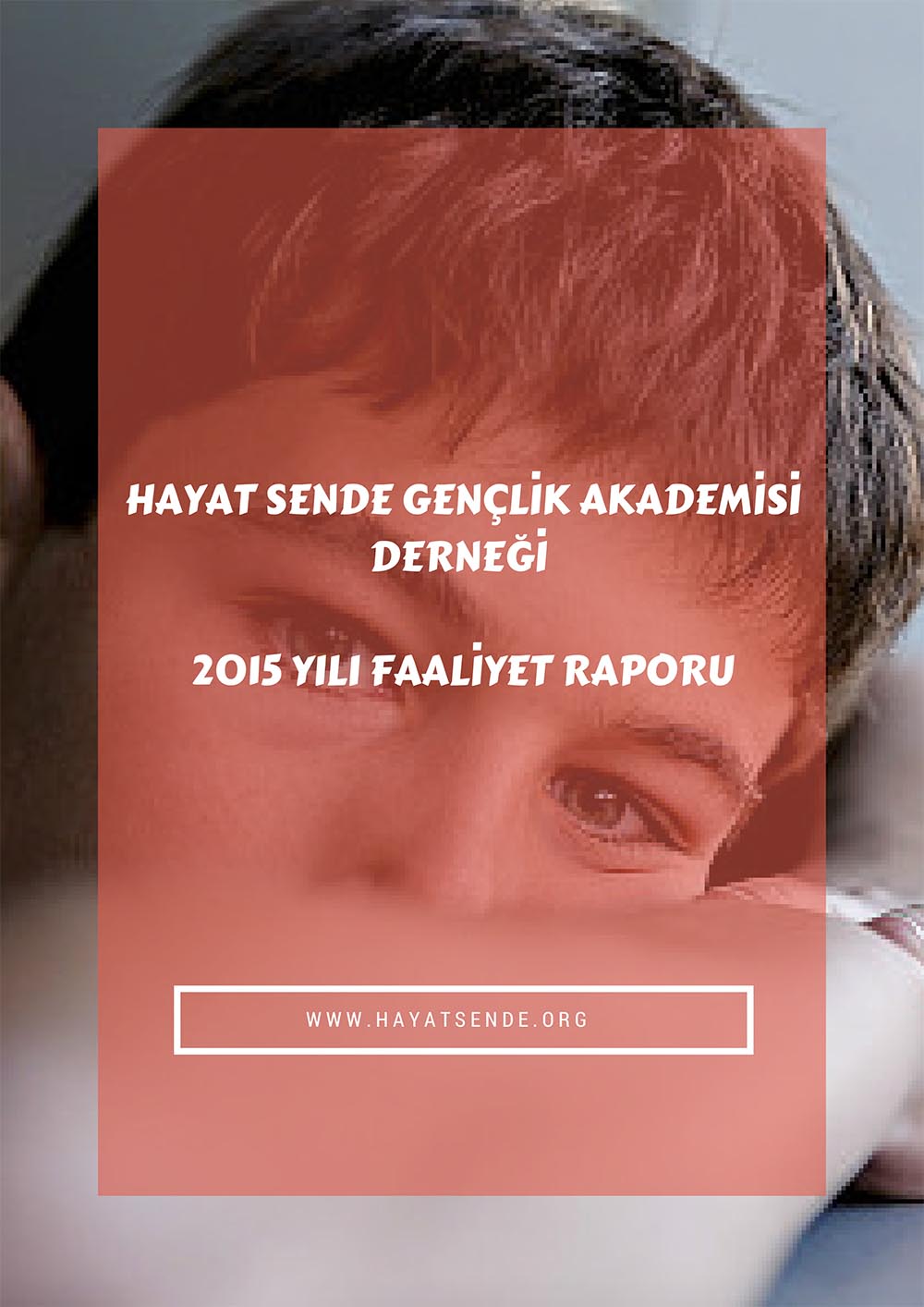 2015 Faaliyet Raporu