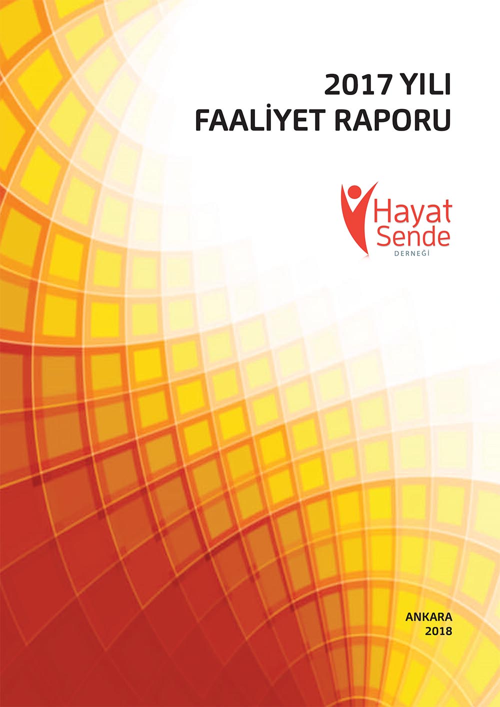 2017 Faaliyet Raporu