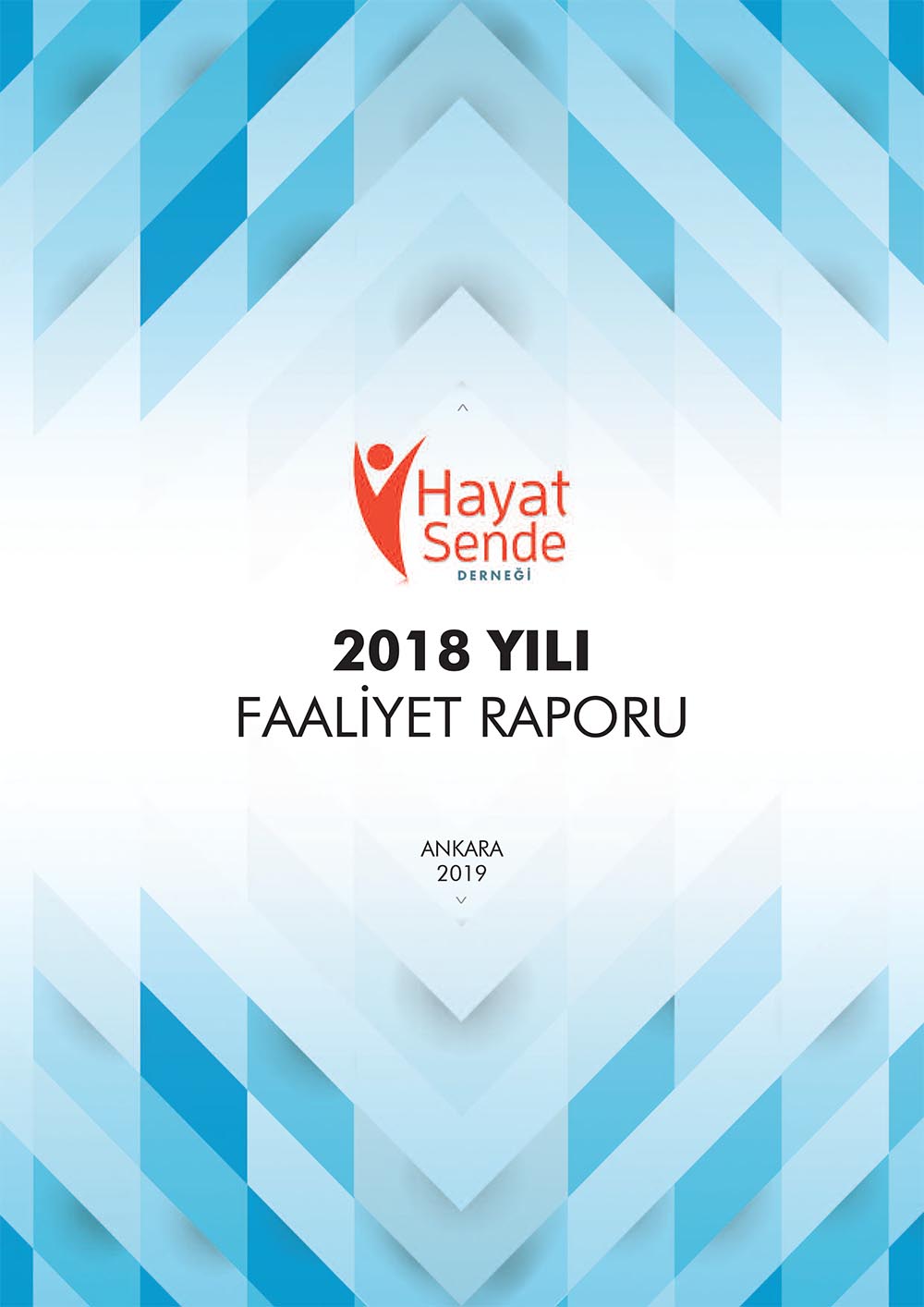 2018 Faaliyet Raporu