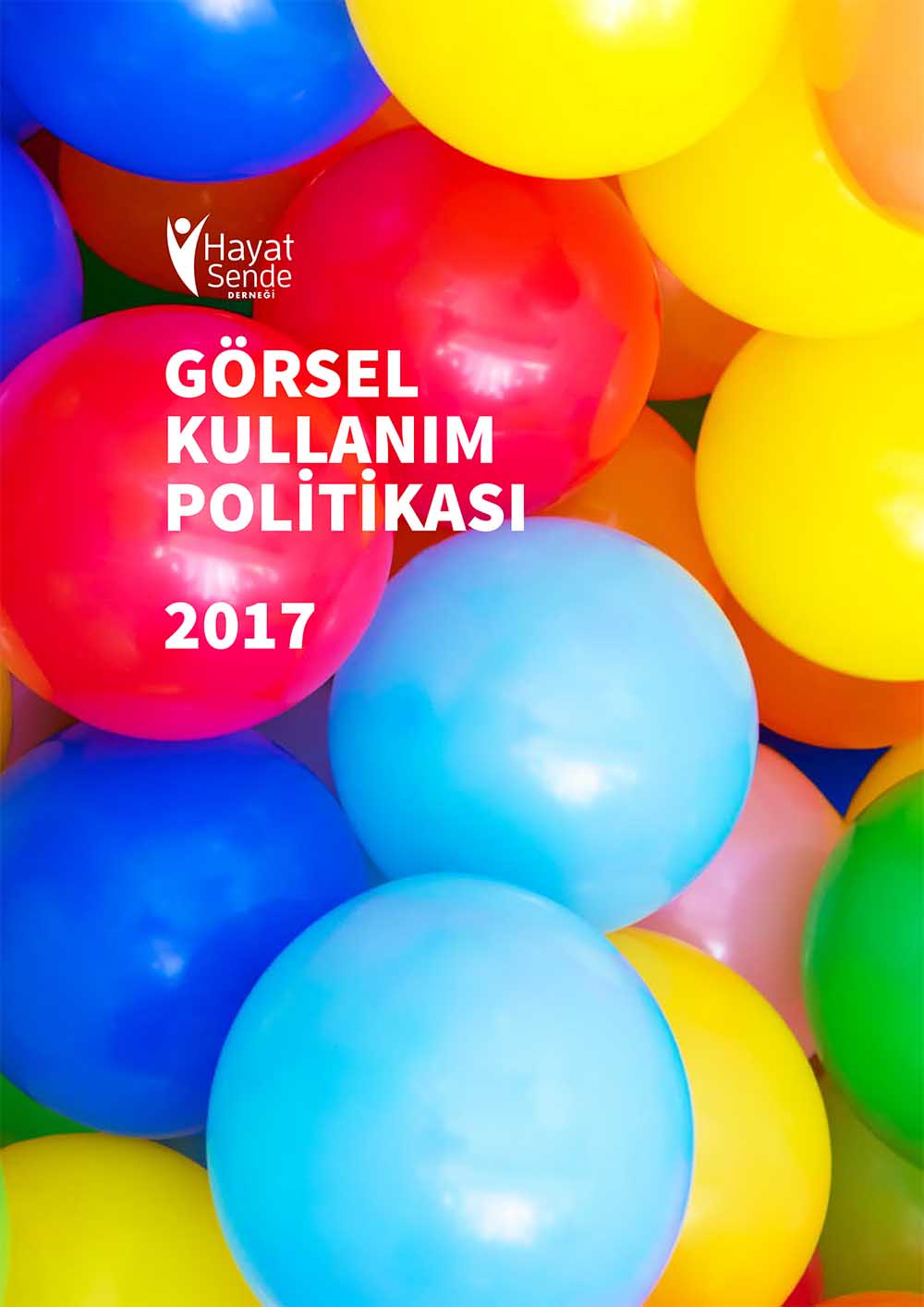 Görsel Kullanım Politikası