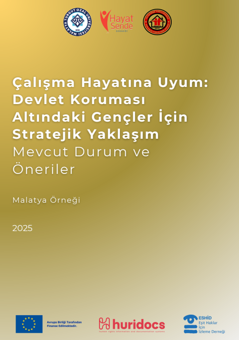 Çalışma Hayatına Uyum Devlet Koruması Altındaki Gençler İçin Stratejik Yaklaşım Mevcut Durum ve Öneriler Malatya Örneği